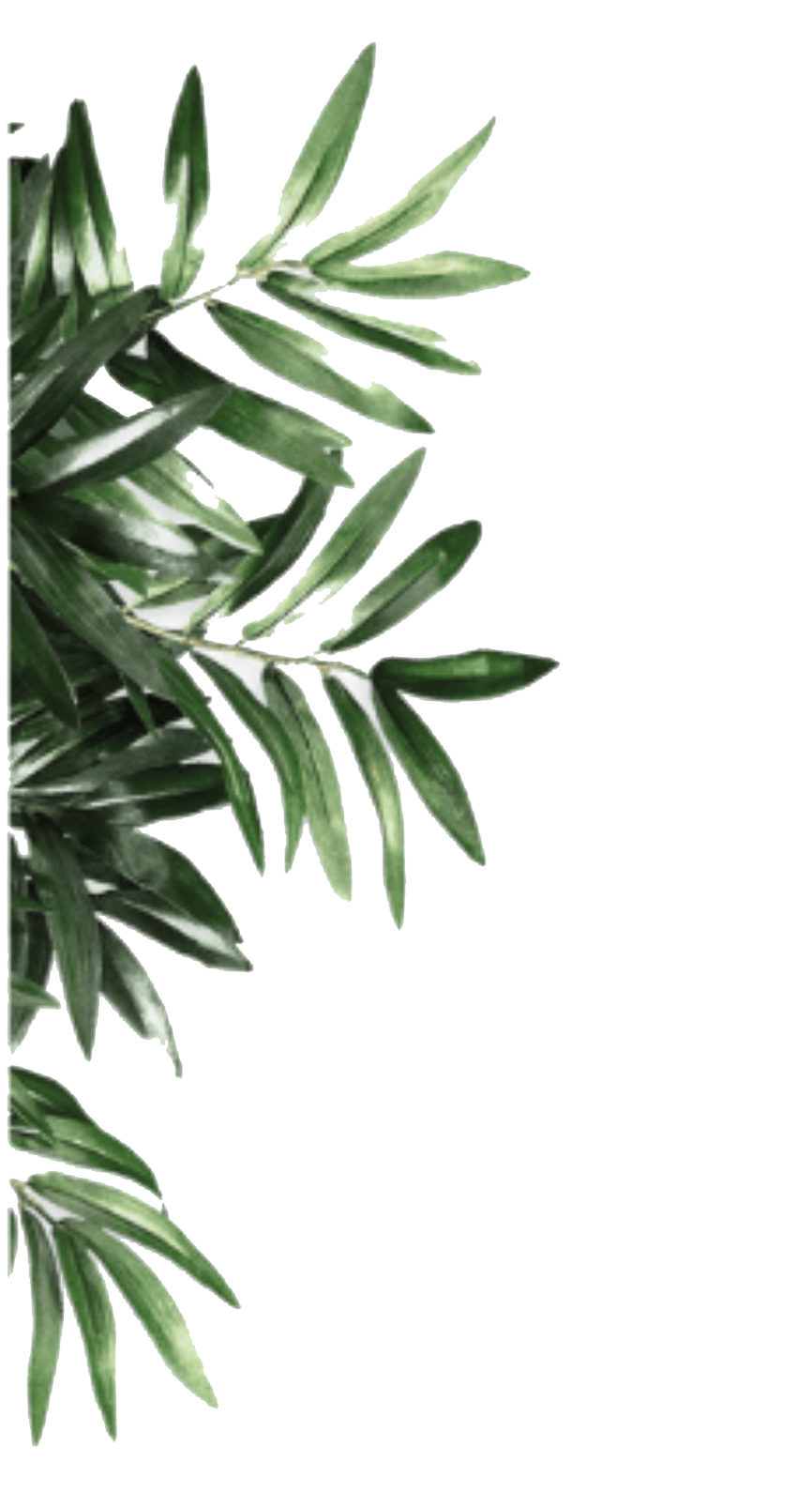 decoLeaf