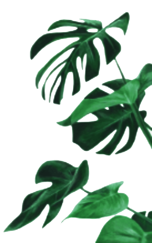 decoLeaf